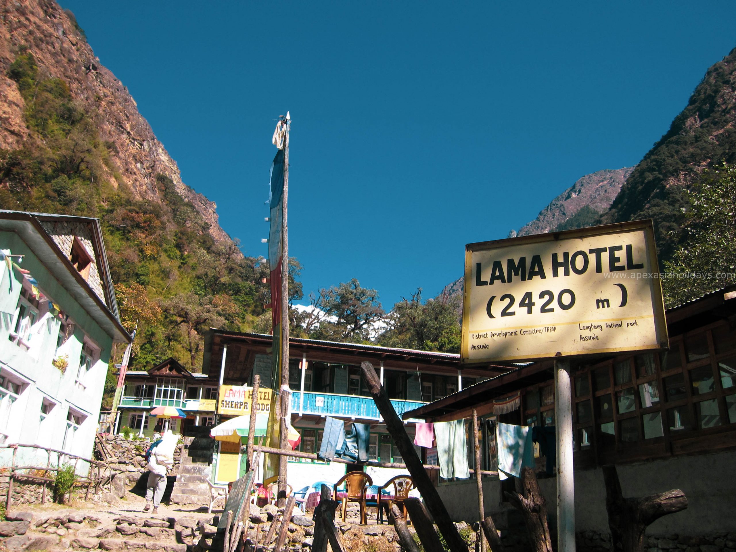 Lama-Hotel--scaled 