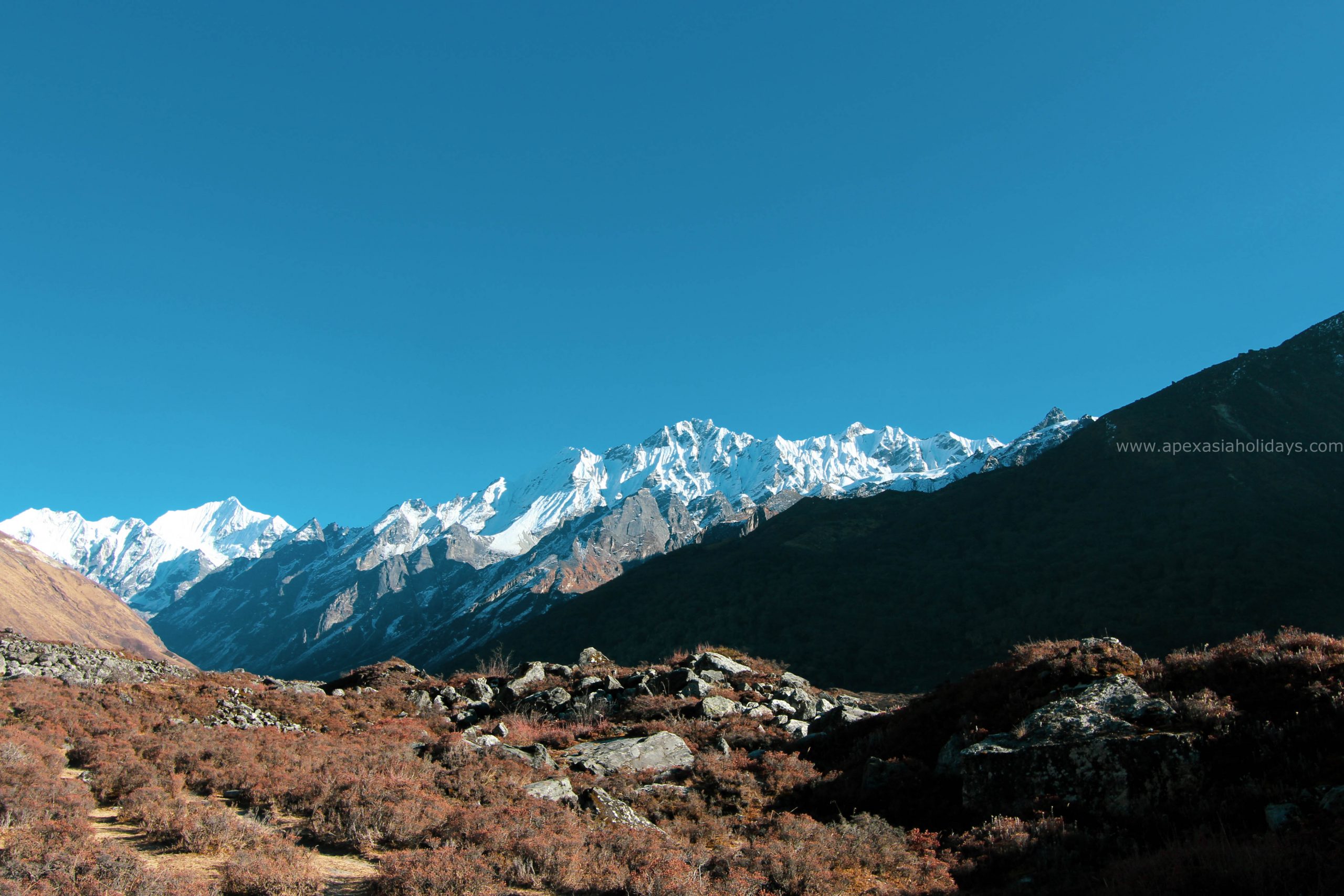 Langtang-Himalaya-along-the-trail-scaled 