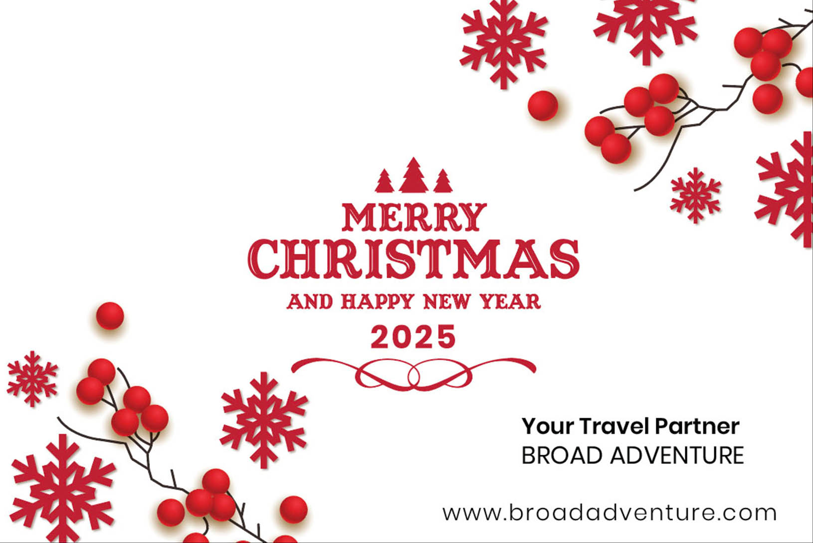 Merry Christmas and Happy New Year 2025!