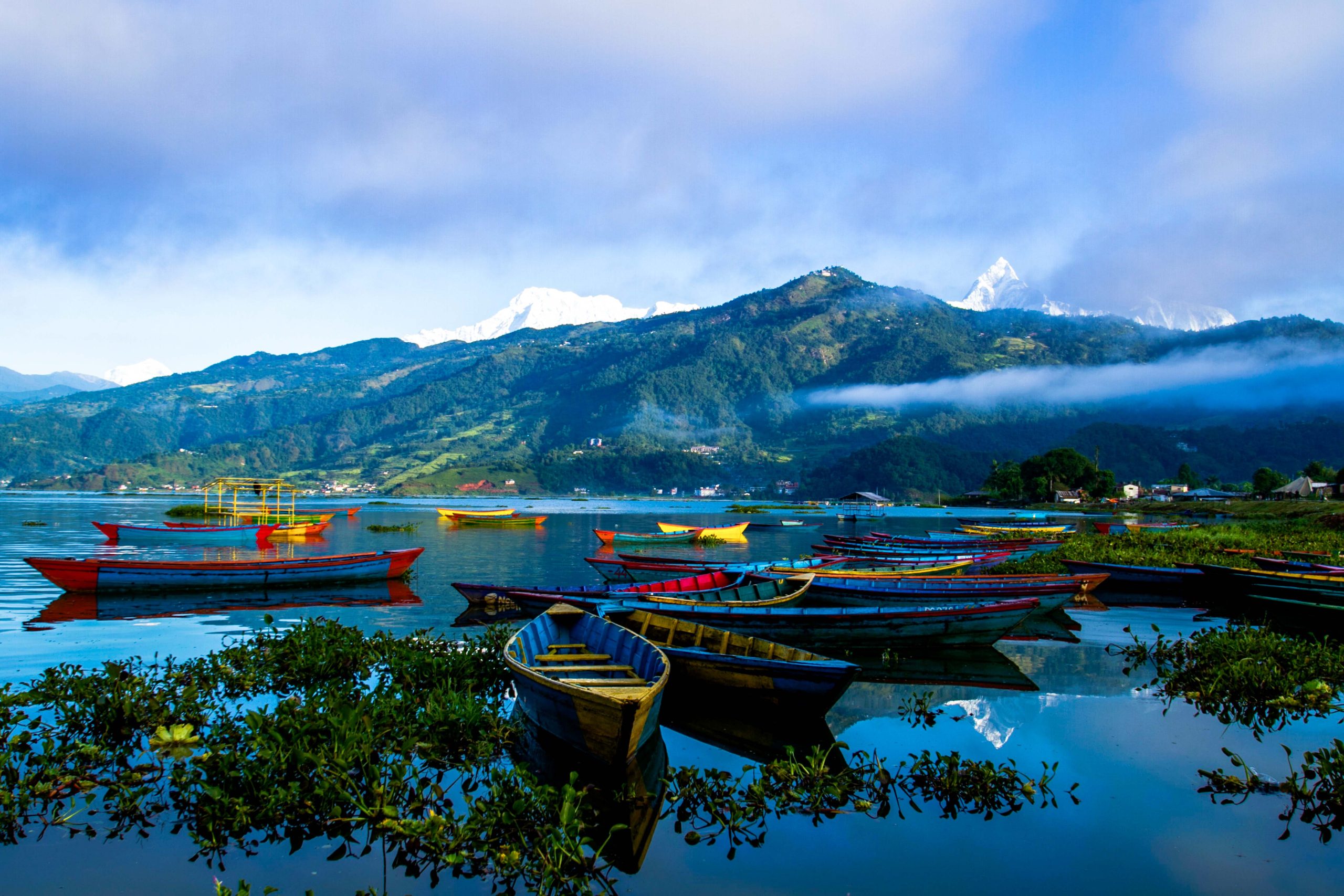 Mardi Himal Base Camp Trek