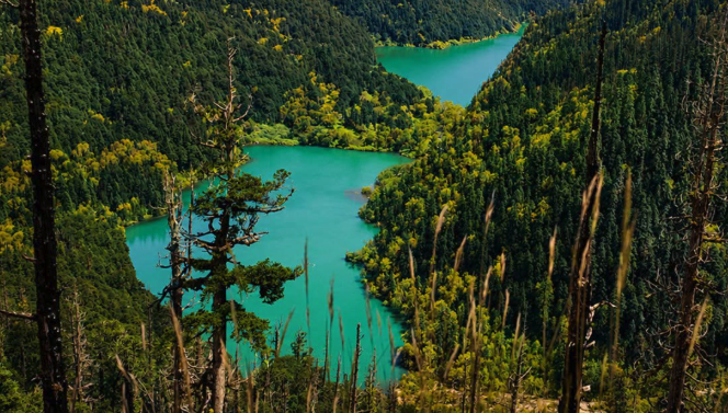 Gidi Lake: Jumla’s Hidden Alpine Jewel in the Heart of Karnali